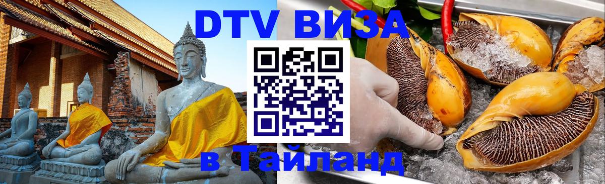 Сколько стоит DTV виза — актуальные цены, оформление даже без документов - Амман  20.11.2025 